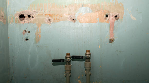 Trusted Rawlins, WY Water damage restoration Experts