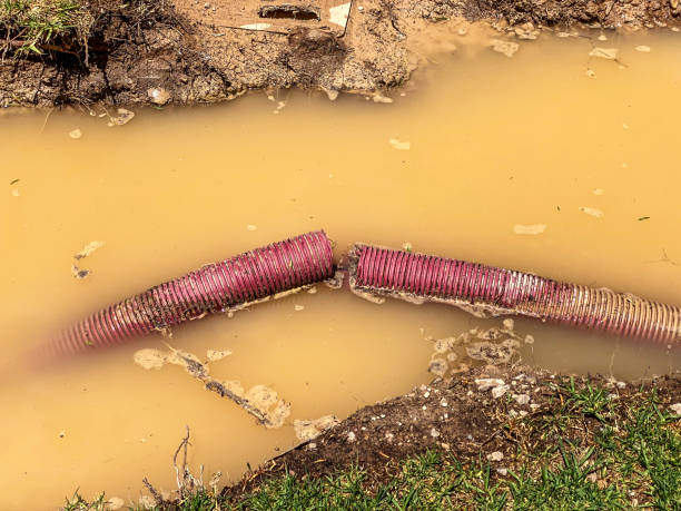 Best Commercial water damage restoration  in Rawlins, WY